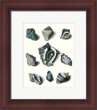 Framed Celadon Shells IV Print