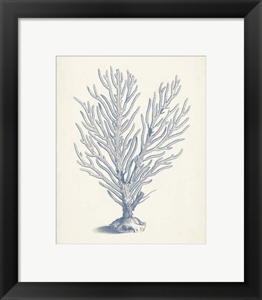 Framed Antique Coral Collection II Print