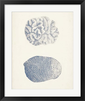 Framed Antique Coral Collection VII Print