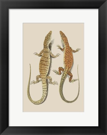 Framed Antique Lizards I Print