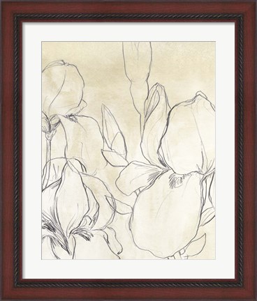 Framed Iris Garden Sketch I Print