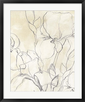 Framed Iris Garden Sketch II Print