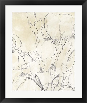 Framed Iris Garden Sketch II Print