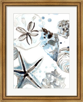 Framed Cerulean Seashells IV Print
