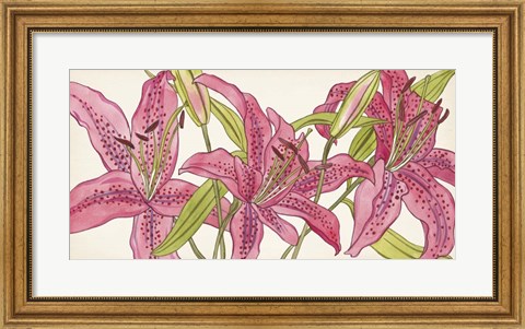 Framed Pink Lilies II Print