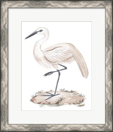 Framed White Heron III Print