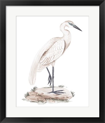 Framed White Heron IV Print