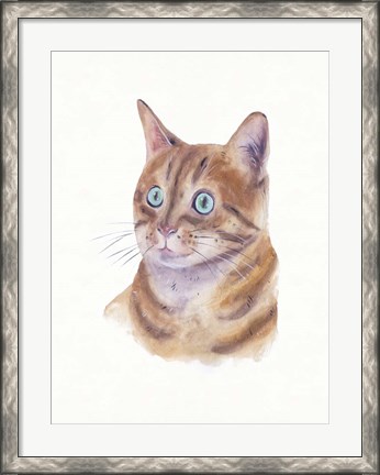 Framed Orange Cat II Print
