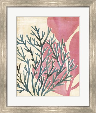 Framed Chromatic Sea Tangle III Print