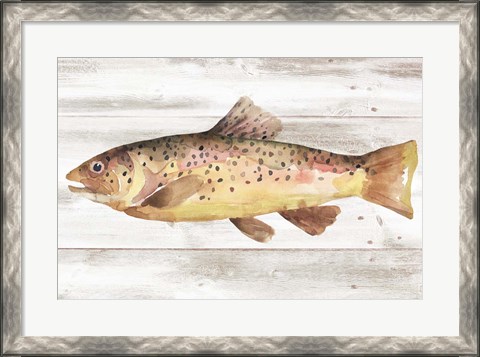 Framed Spotted Trout I Print