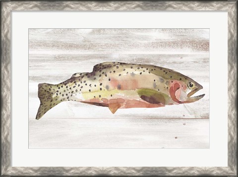 Framed Spotted Trout II Print