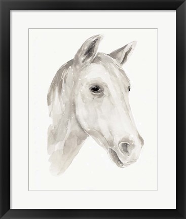 Framed Ivory Stallion I Print