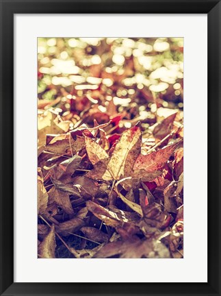Framed Face Of Autumn 2 Print
