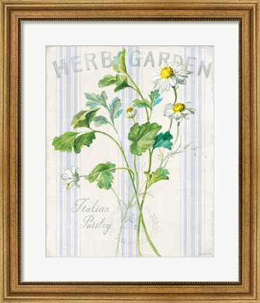 Framed Floursack Herbs II Print