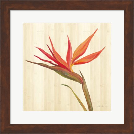 Framed Tropical Garden IV Print