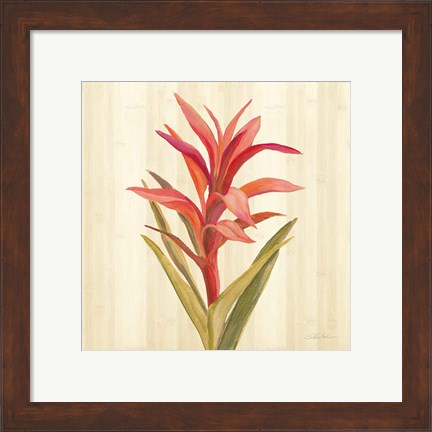 Framed Tropical Garden III Print