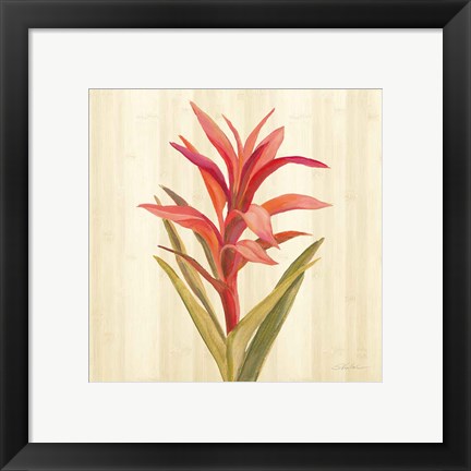 Framed Tropical Garden III Print