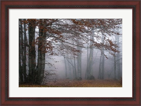 Framed Autumn Paintings Print