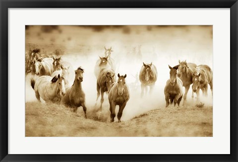 Framed San Cristobol Horses Print