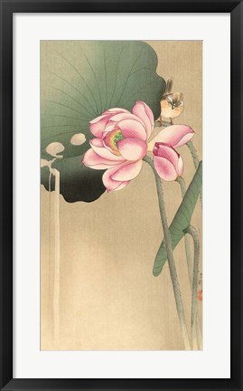 Framed Songbird and Lotus, 1900-1936 Print