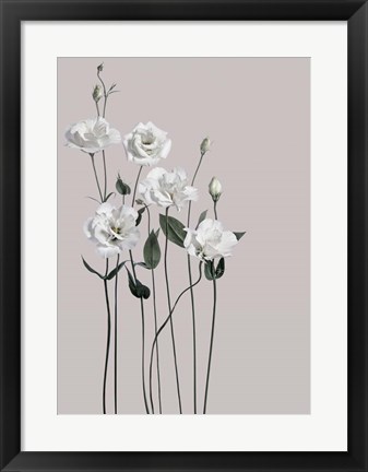 Framed Flower 1 Print
