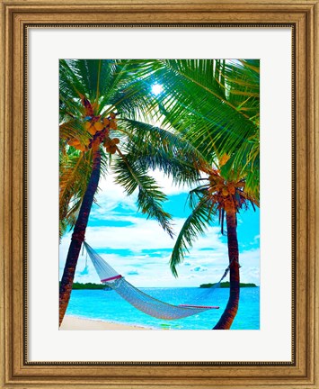 Framed Coconut Sun Print