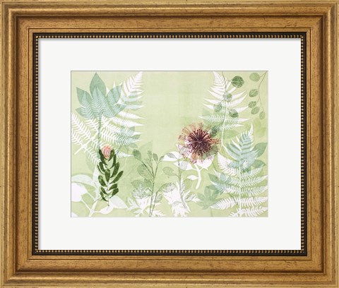 Framed Myriad Celebration of Plants Print