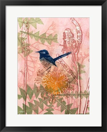 Framed Little Blue Wren Print