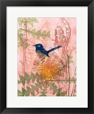 Framed Little Blue Wren Print