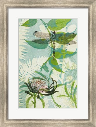 Framed Elusive Dragonfly and Waratah Print