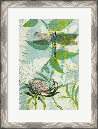 Framed Elusive Dragonfly and Waratah Print