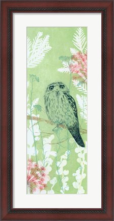 Framed Tranquil Tawny Frog Mouth Print