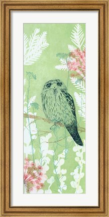 Framed Tranquil Tawny Frog Mouth Print