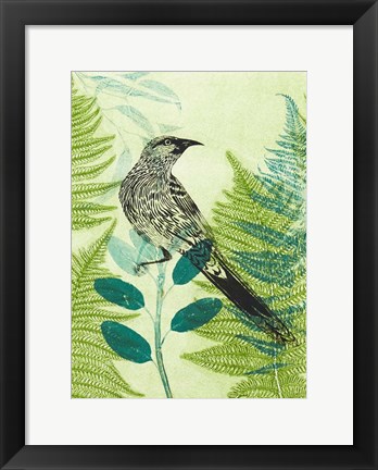 Framed Wattlebird Hiding in the Fernery Print