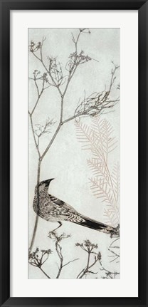 Framed Wattlebird Resting on a Branch Print