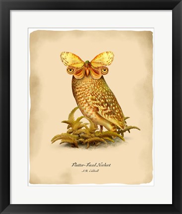 Framed Hoohoot Print