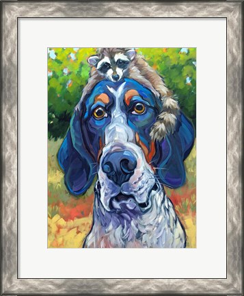 Framed Coonhound Print