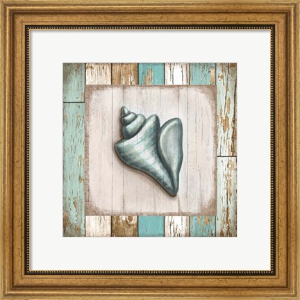 Framed Turquoise Seashell Print