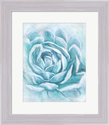 Framed Aqua Succulent II Print