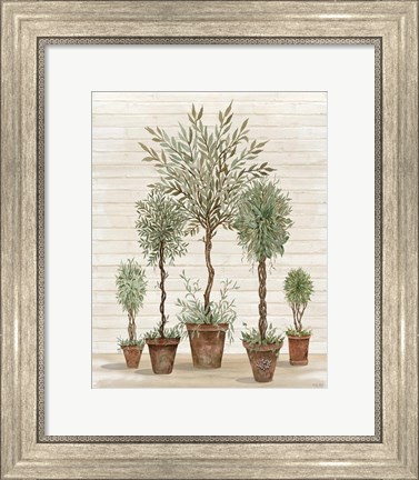 Framed Potted Tree Collection Print
