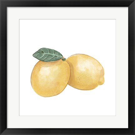 Framed Citrus Limon III Print