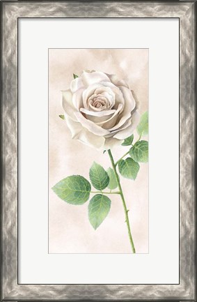 Framed Ivory Roses Panel II Print