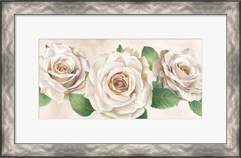Framed Ivory Roses Landscape I Print