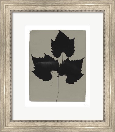 Framed Nature by the Lake Leaves I Gray Print