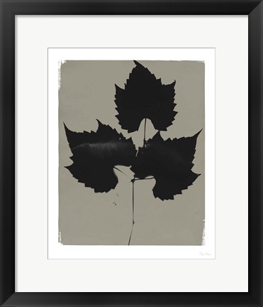 Framed Nature by the Lake Leaves I Gray Print