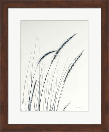 Framed Field Grasses III Print
