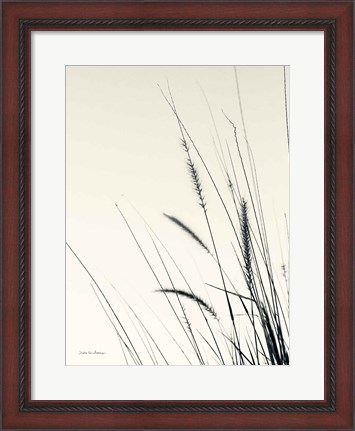 Framed Field Grasses II Print
