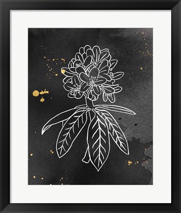 Framed Indigo Blooms II Black Print