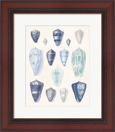 Framed Blue Shell Assortment I Print