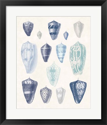 Framed Blue Shell Assortment I Print